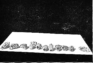 Miller Method Vacated Queen-Cells