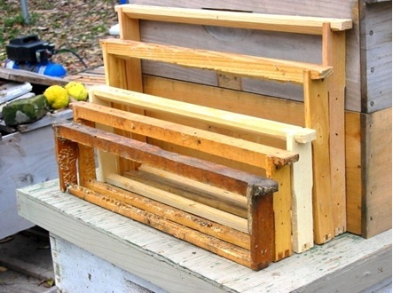 Tamaños de marco surtidos