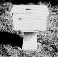 five frame mating hive